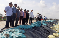 Chủ tịch HĐND tỉnh Trần Văn Hiện khảo sát đê biển Tây