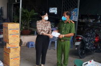 HỘI ĐỒNG NHÂN DÂN TỈNH CÀ MAU KHÓA IX,  NHIỆM KỲ 2016 - 2021:  Đoàn kết, dân chủ, đổi mới, hiệu quả