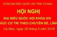 Đoàn đại biểu Quốc hội tỉnh tiếp xúc cử tri theo chuyên đề, lĩnh vực