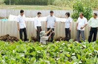 Thường trực HĐND huyện U Minh giám sát việc thực hiện Nghị quyết của HĐND huyện năm 2017