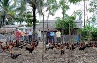 Ban Văn hoá – Xã hội HĐND tỉnh Cà Mau chuẩn bị giám sát kết quả triển khai, ứng dụng các đề tài nghiên cứu khoa học trên địa bàn tỉnh