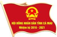 ĐẠI BIỂU HĐND TỈNH KHÓA IX, NHIỆM KỲ 2016 - 2021