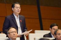 Đại biểu Quốc hội Trương Minh Hoàng, Phó trưởng Đoàn đại biểu Quốc hội tỉnh Cà Mau thảo luận ở hội trường tại kỳ họp thứ 11, Quốc hội khóa XIII