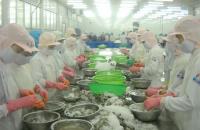 Quyền cơ bản của lao động nữ có hiệu lực từ ngày 15/11/2015