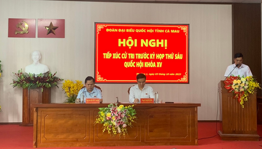 Cử tri kiến nghị cơ quan có thẩm quyền cần xem xét, giảm bớt những môn học không cần thiết đối với học sinh cấp tiểu học